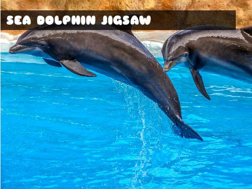 Jogo Sea Dolphin Jigsaw