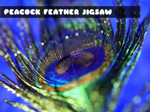 Jogue Peacock Feather Jigsaw Jogo