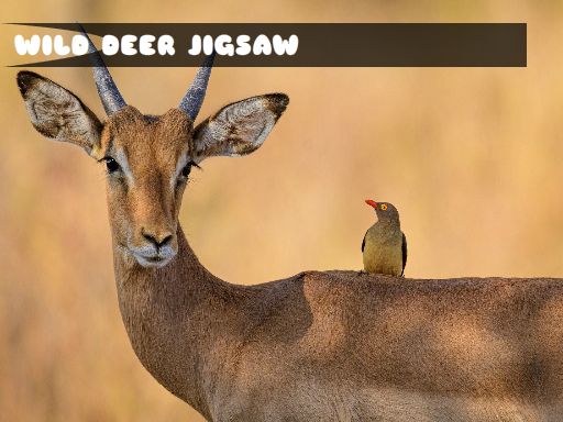 Jogo Wild Deer Jigsaw